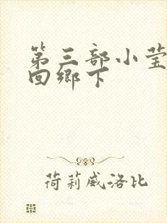 第三部小莹乱翁回乡下