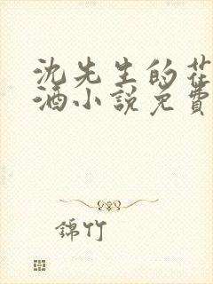 沈先生的花式调酒小说免费阅读