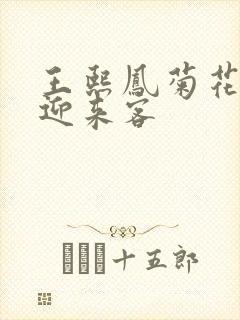 王熙凤菊花门初迎来客