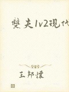 双夫1v2现代