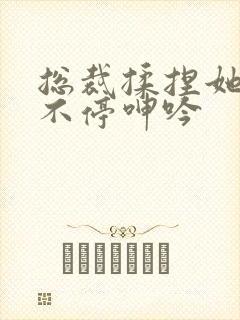 总裁揉捏她两乳不停呻吟