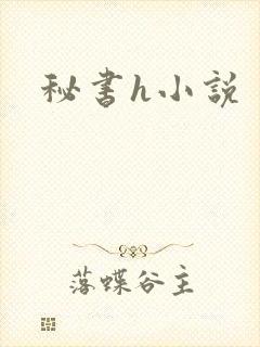 秘书h小说