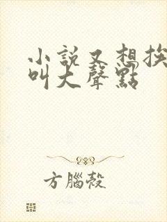 小说又想挨C了叫大声点