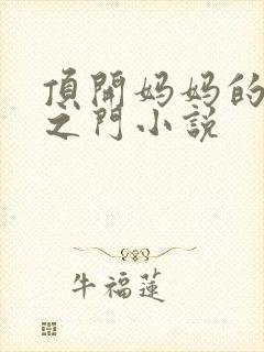 顶开妈妈的生命之门小说