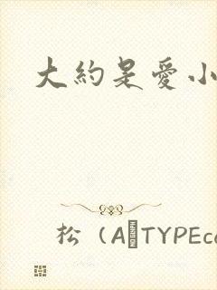 大约是爱小说