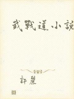 武战道小说
