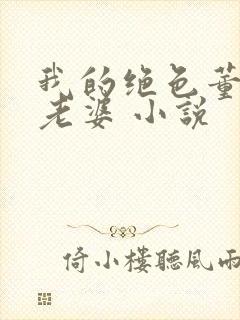 我的绝色董事长老婆 小说