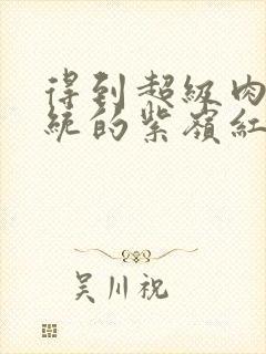 得到超级肉禽系统的紫岭红山