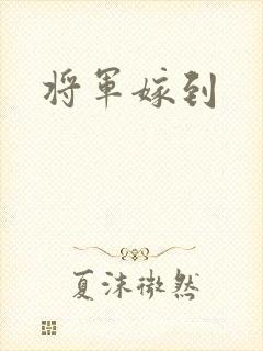 将军嫁到