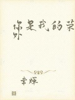 你是我的荣耀番外