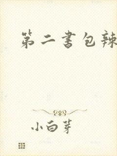 第二书包辣文