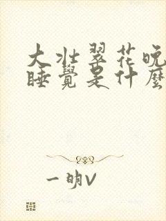 大壮翠花晚上不睡觉是什么电视剧