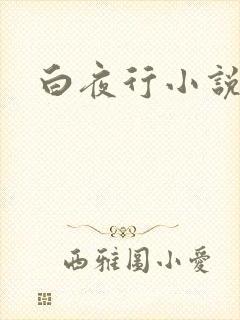 白夜行小说下载