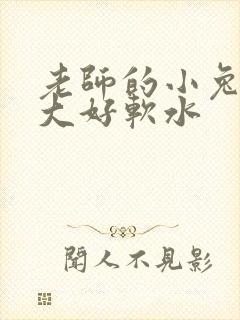 老师的小兔子好大好软水