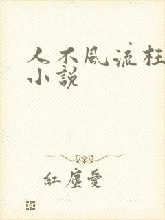 人不风流枉少年小说