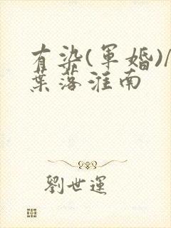 有染(军婚)/叶落淮南