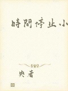 时间停止小说