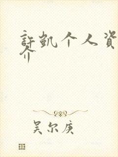 许凯个人资料简介