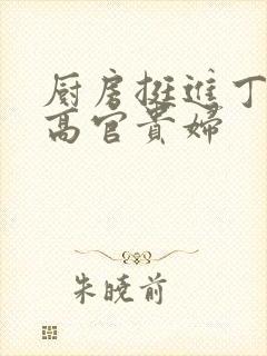 厨房挺进丁字裤高官贵妇