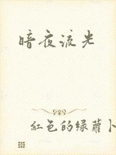 暗夜流光