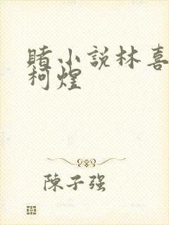 赌小说林喜朝和柯煜