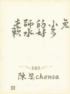 老师的小兔子好软水好多