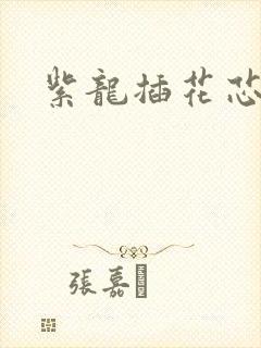 紫龙插花芯方正