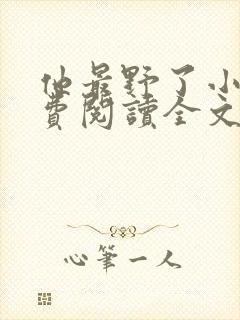 他最野了小说免费阅读全文