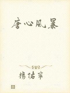 唐心风暴