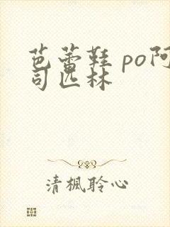 芭蕾鞋 po阿司匹林