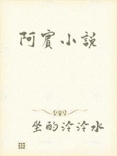 阿宾小说