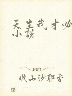 天生我才必有用小说