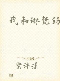 我和琳梵的故事