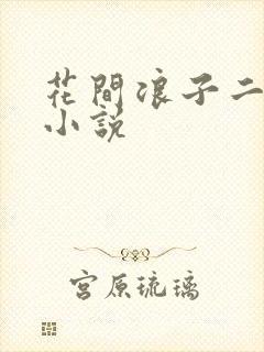 花间浪子二十部小说