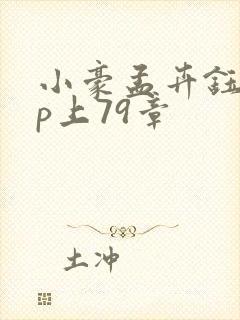 小豪孟卉钰慧三p上79章