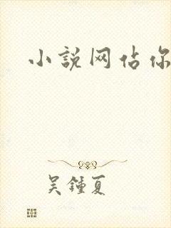 小说网站你懂的