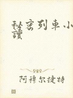 秘密列车小说阅读