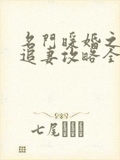 名门暖婚之权爷追妻攻略全文免费阅读