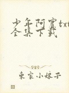 少年阿宾txt全集下载