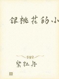 银桃花的小说