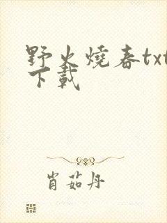 野火烧春txt下载