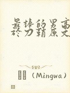 最棒的男高中生于刀鞘原文阅读