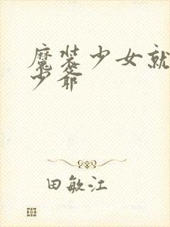 魔装少女就是本少爷