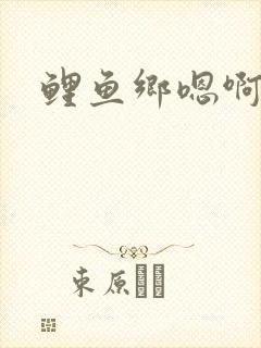鲤鱼乡嗯啊