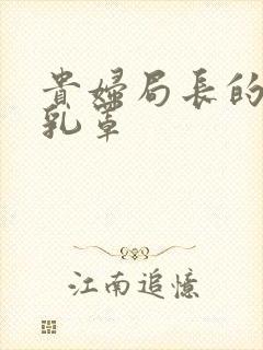 贵妇局长的蕾丝乳罩