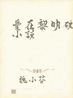爱在黎明破晓前小说
