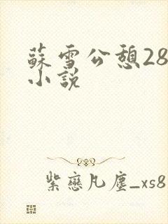 苏雪公憩28篇小说