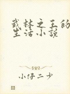 武林之王的退隐生活小说