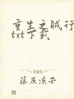 重生之贼行天下txt下载