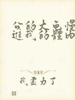 公的大龟慢慢挺进我的体内视频